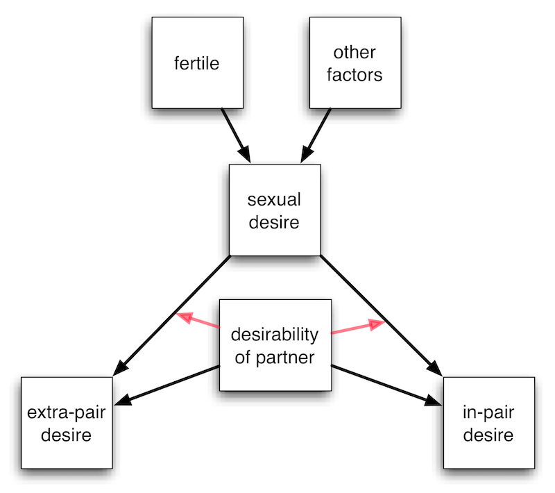 flow chart sexual desire